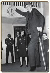 1.Роберт Уодлоу (Robert Wadlow).